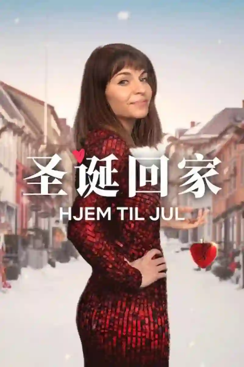 圣诞寻伴 第3季